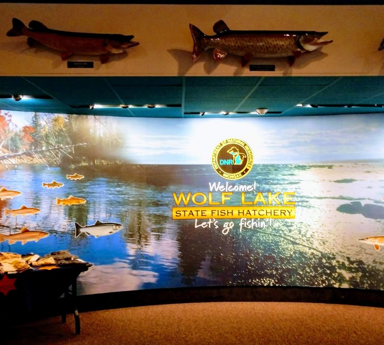 Wolf Lake Visitors Center & Tours (Mattawan,&nbspMI)